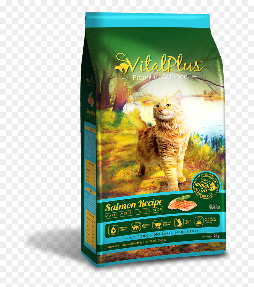 Vital Plus Cat Food, HD Png Download - cat food png