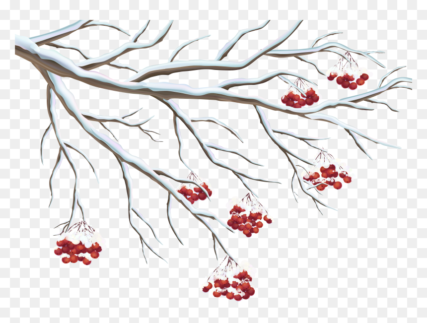 Transparent Holly Clip Art - Transparent Background Winter Clip Art, HD Png Download - holly clipart png