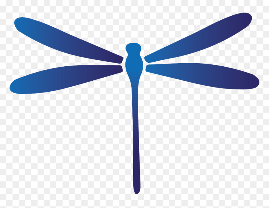 Damselfly, HD Png Download - dragon fly png