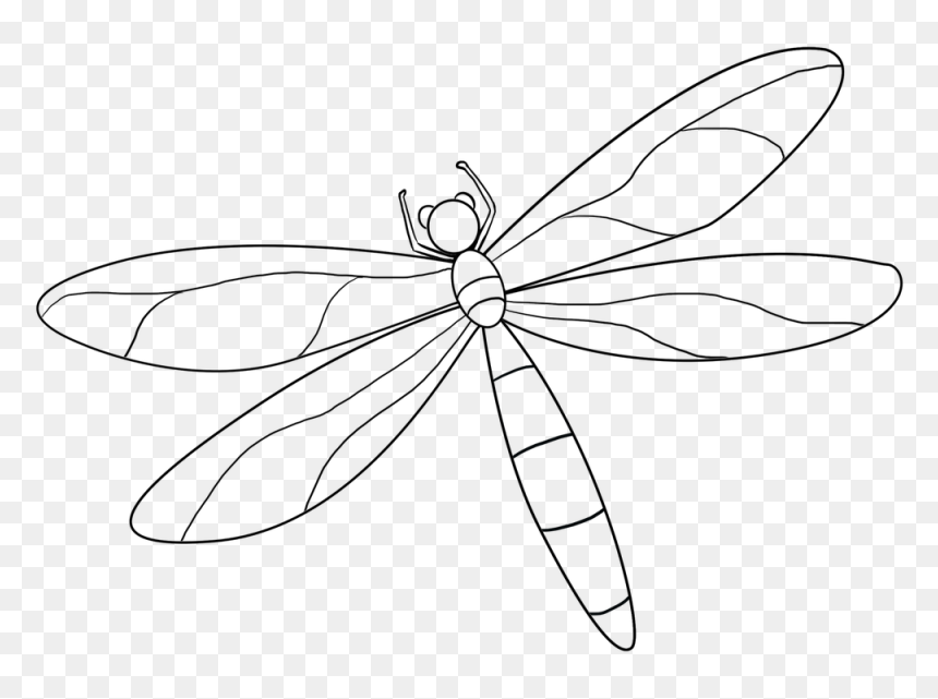 Dragonfly Drawing Beautiful Image - Dragonfly, HD Png Download - dragon fly png