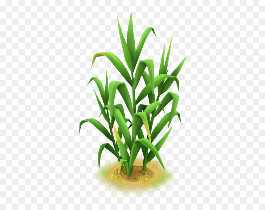 Grass Cb Png, Transparent Png - tall grass png