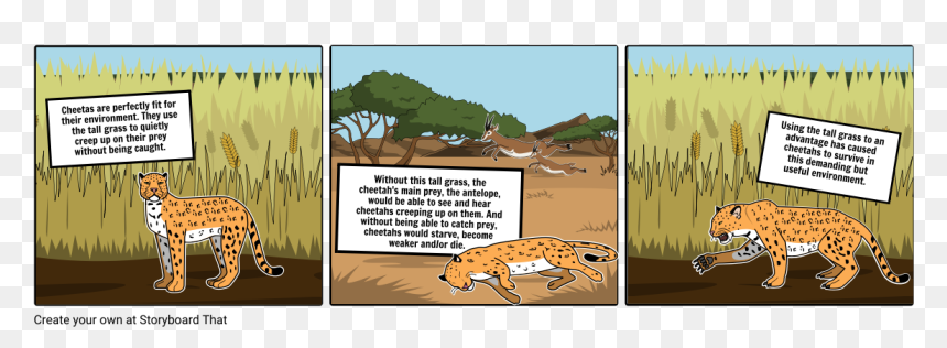 Cartoon, HD Png Download - tall grass png
