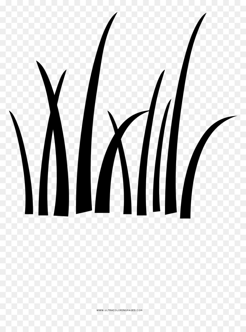 Dibujo De Grama, HD Png Download - tall grass png