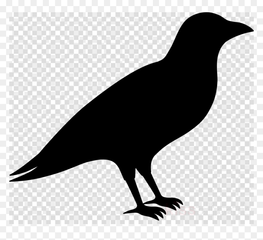 Transparent Background Price Tag Png, Png Download - crow png