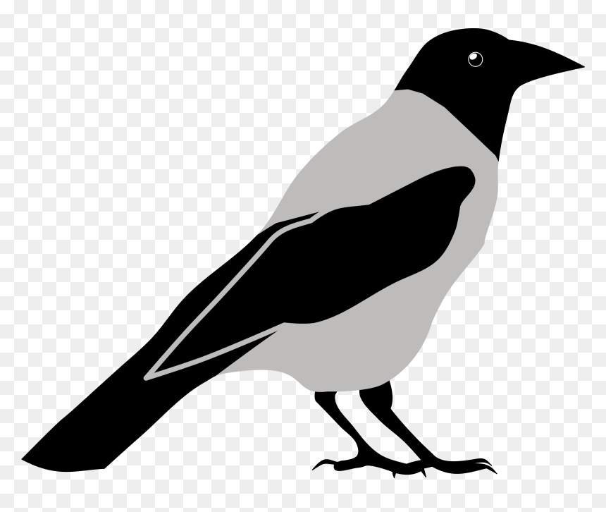 Crow Clipart Black And White, HD Png Download - crow png