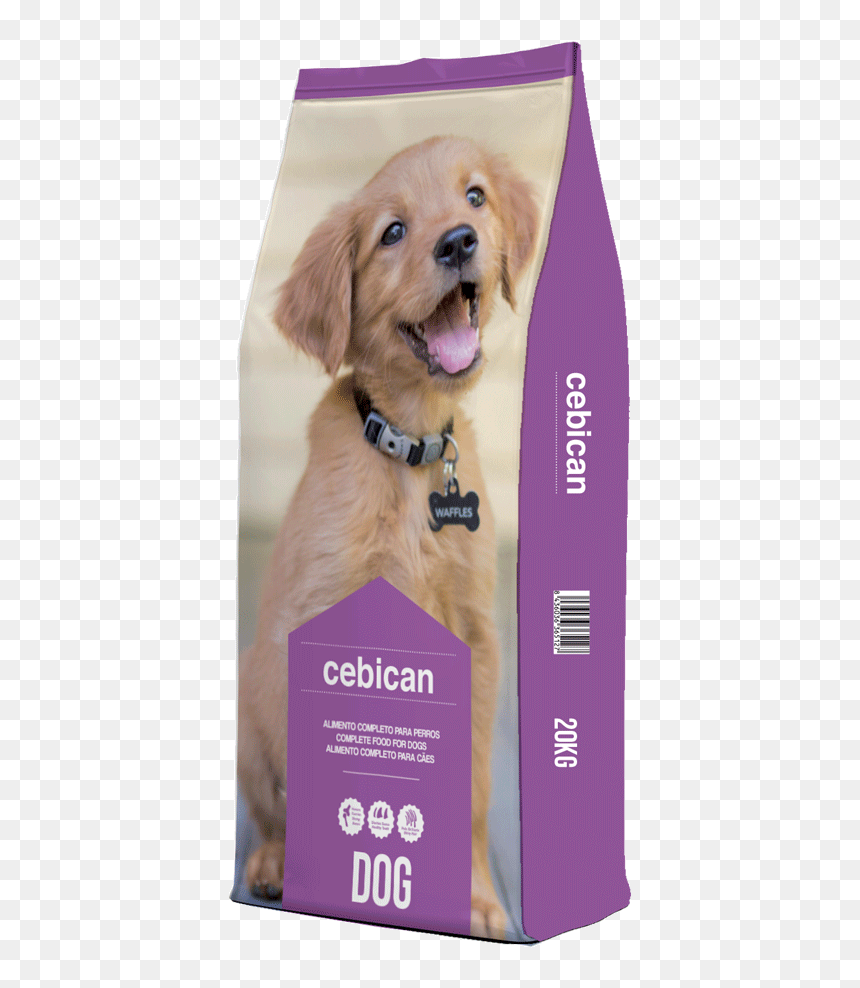 Companion Dog, HD Png Download - puppy png