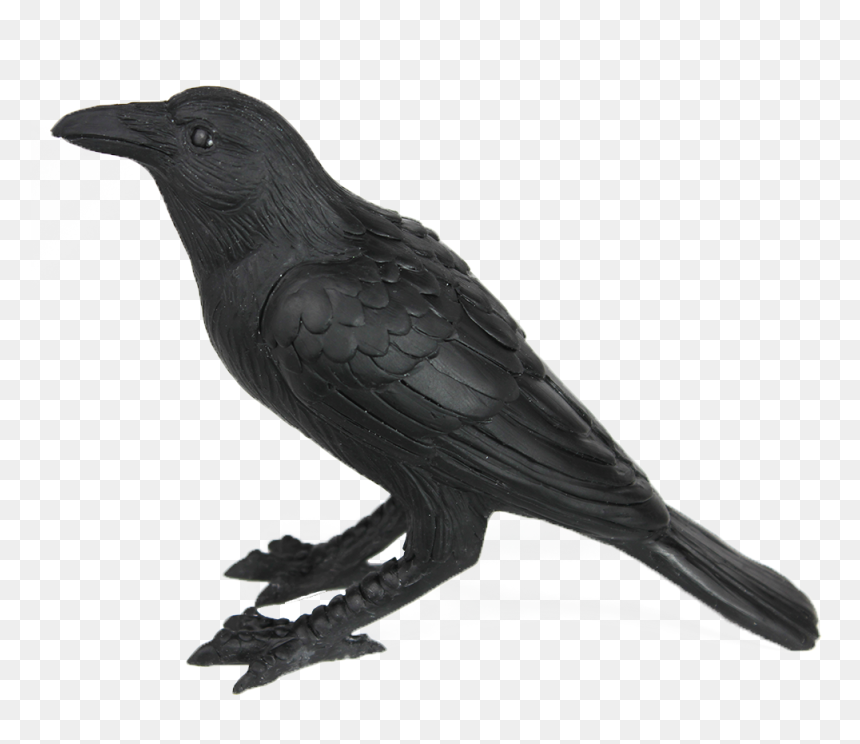 Crow Familiar, HD Png Download - crow png