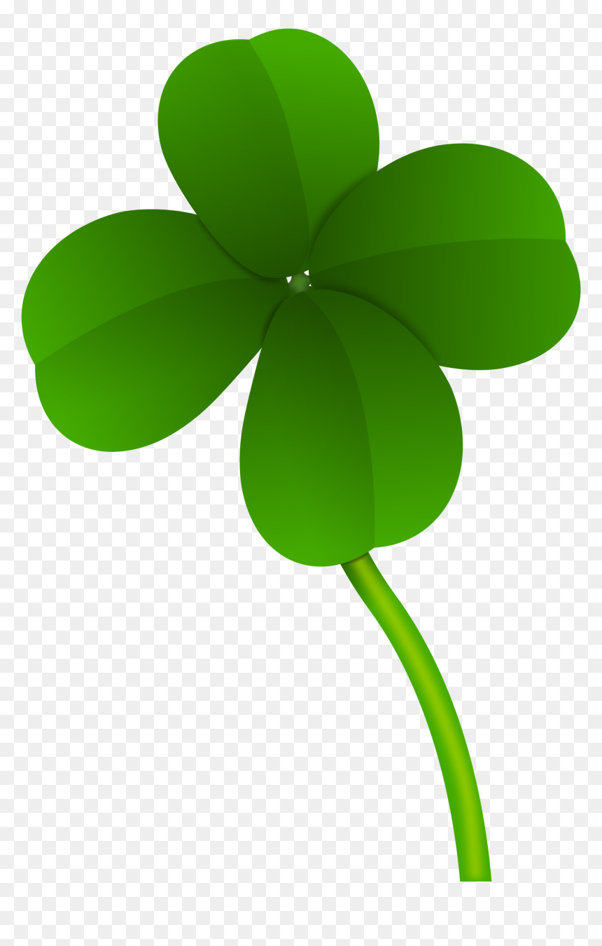 Four Leaf Clover Stem, HD Png Download - clover png