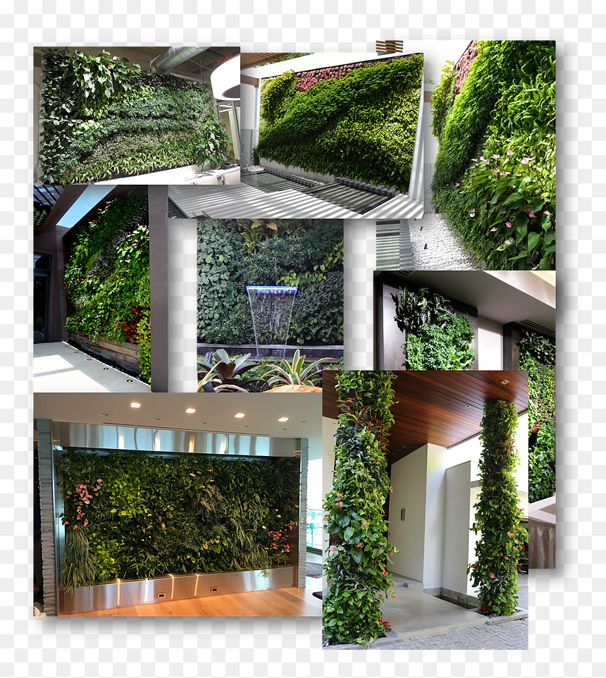Arch, HD Png Download - garden png