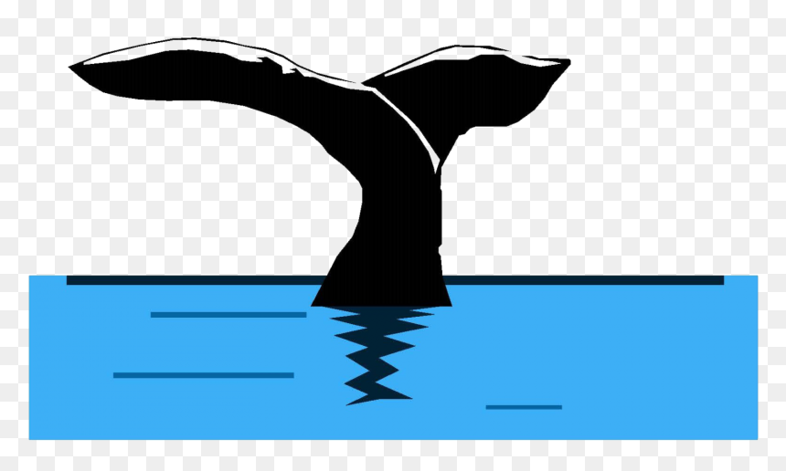 Clip Art, HD Png Download - whale png