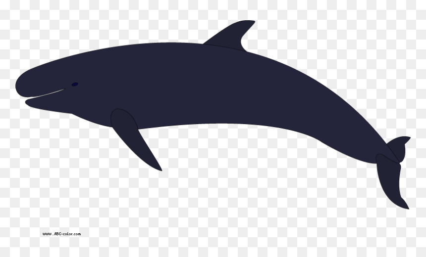 Whales, HD Png Download - whale png