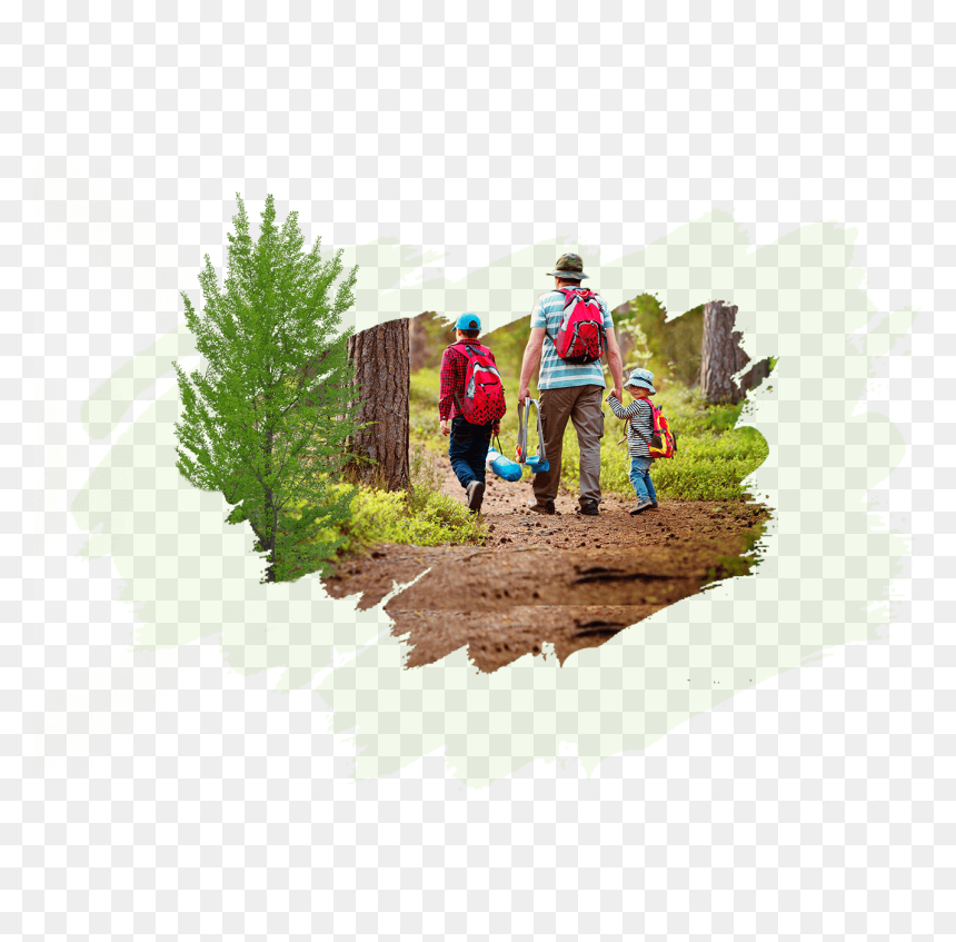 Christmas Tree, HD Png Download - garden png