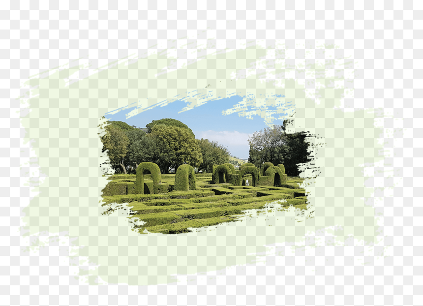 Grass, HD Png Download - garden png
