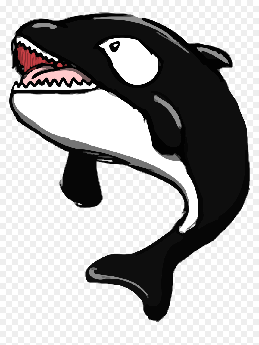 Killer Whale Png Small, Transparent Png - whale png
