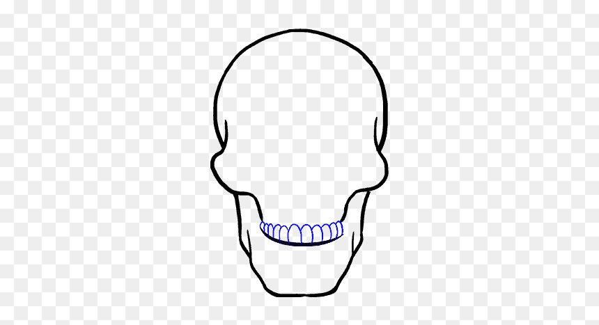 Skull Drawing, HD Png Download - tooth png