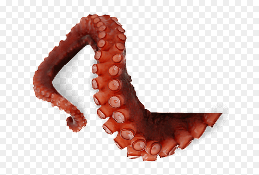 Octopus Tentacles, HD Png Download - octopus png