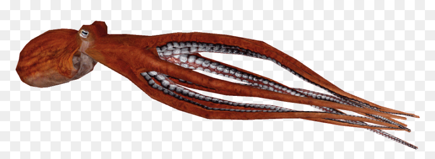 Giant Pacific Octopus Png, Transparent Png - octopus png