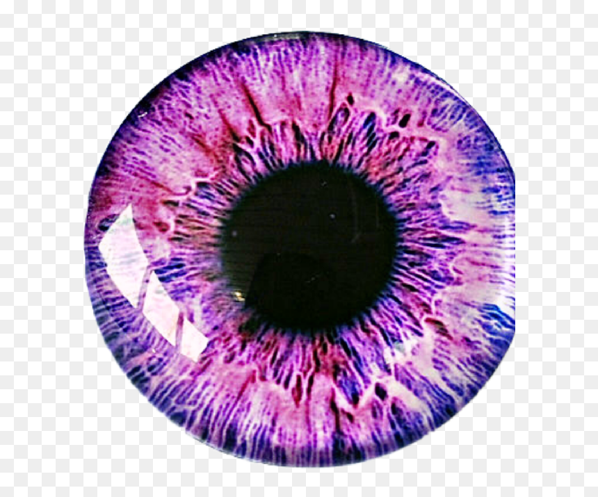 Miskatonic University Australian Expedition, HD Png Download - eyeball png