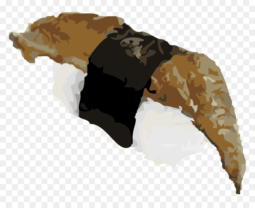 Sushi Clipart Eel, HD Png Download - sushi png