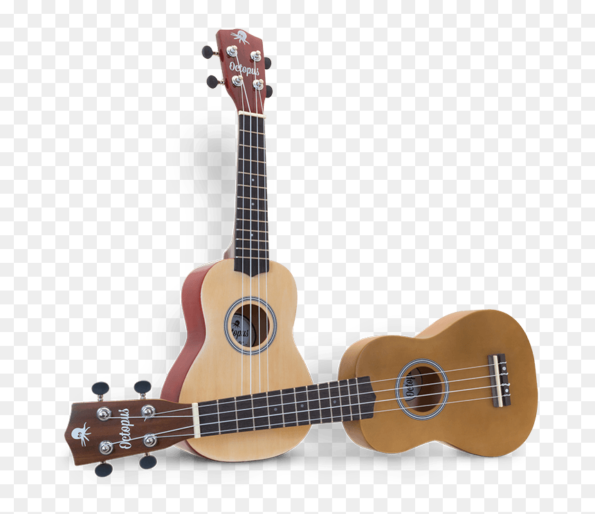 Ukulele Octopus, HD Png Download - burst png