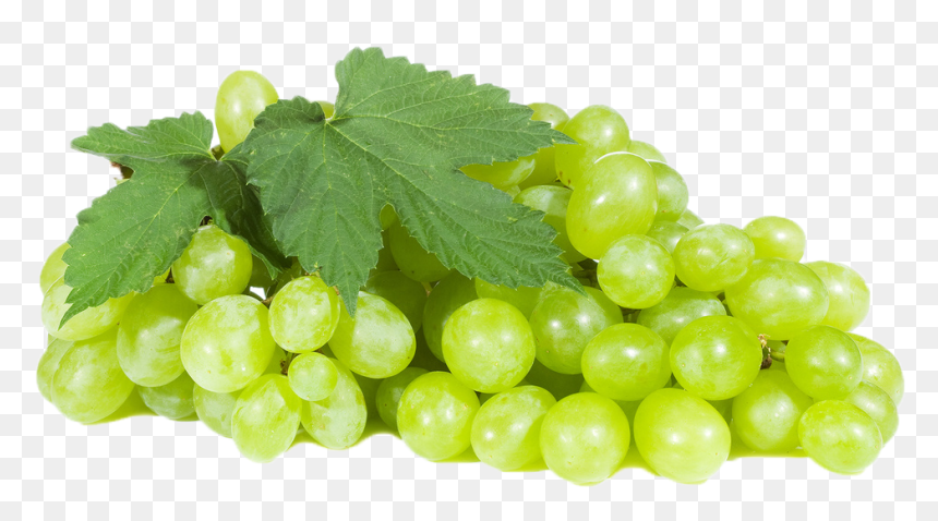 Transparent Background Grapes Png, Png Download - grapes png