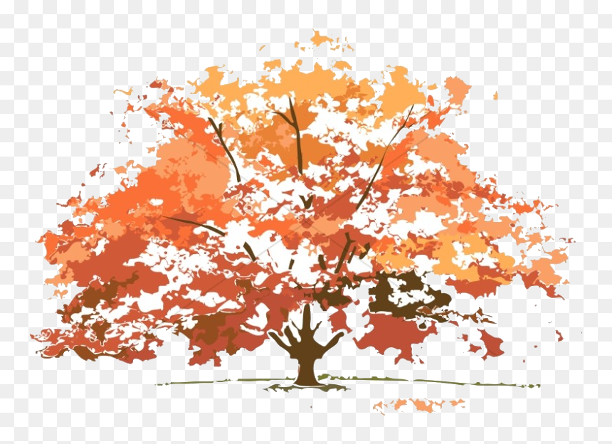 Trees Look In Different Seasons, HD Png Download - fall png