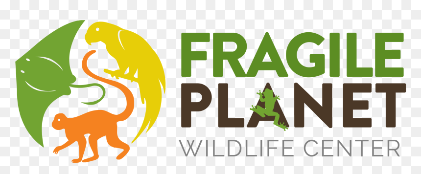 Graphic Design, HD Png Download - fragile png