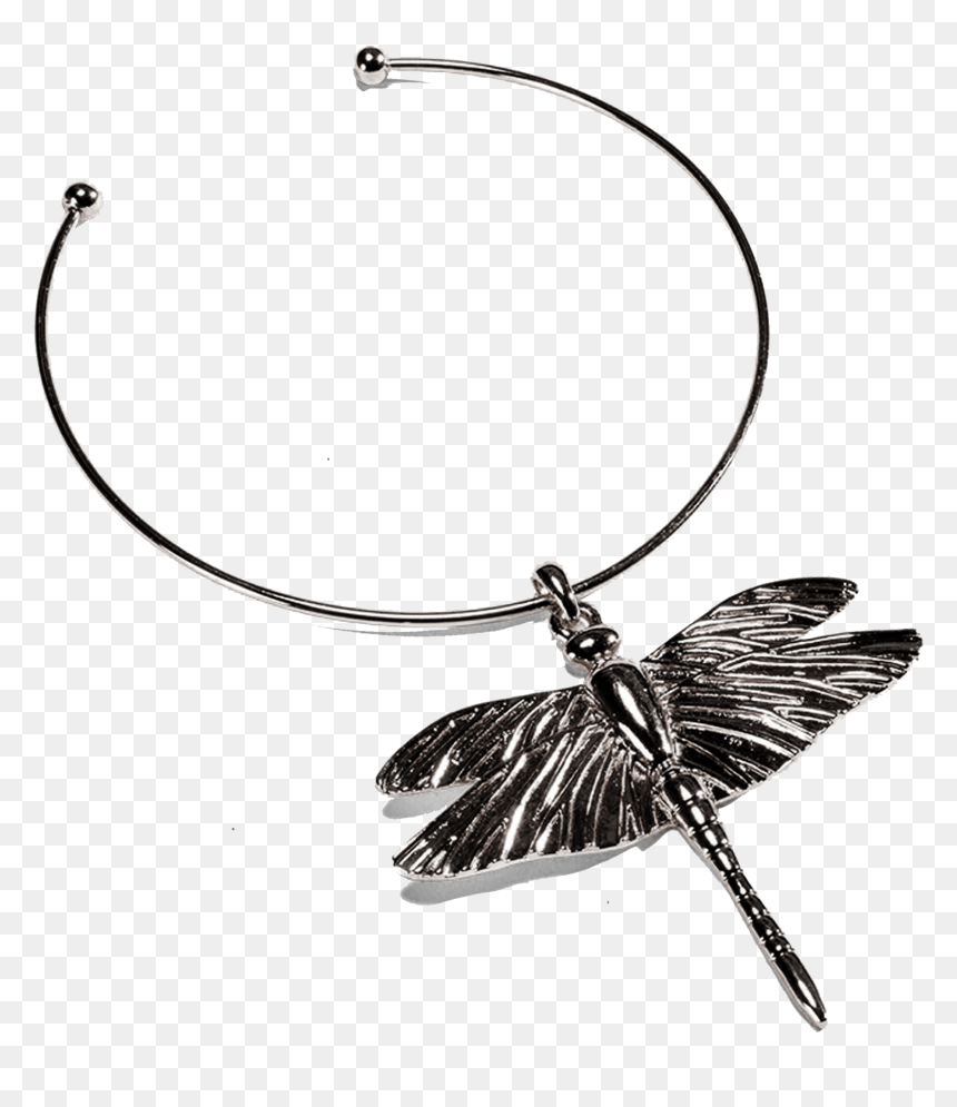 Necklace, HD Png Download - dragon fly png