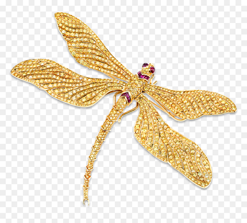 Fancy Vivid Yellow Diamond Dragonfly Brooch - Fred Leighton Butterfly Brooch, HD Png Download - dragon fly png