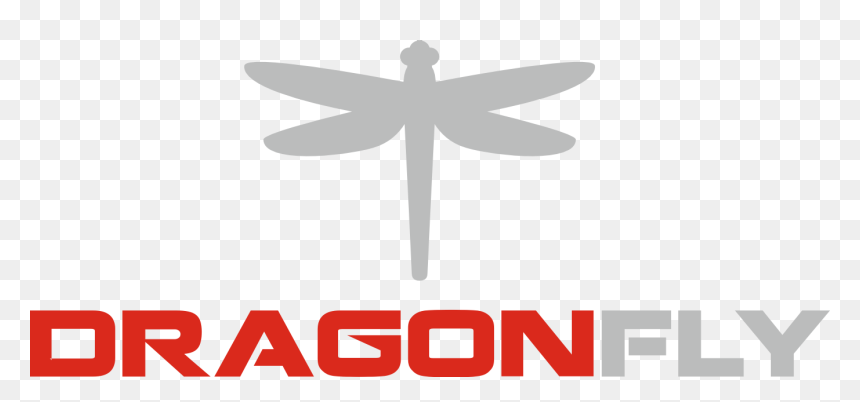 Transparent Dragonfly Png - Dragonfly, Png Download - dragon fly png