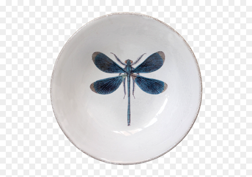 Dragonfly, HD Png Download - dragon fly png