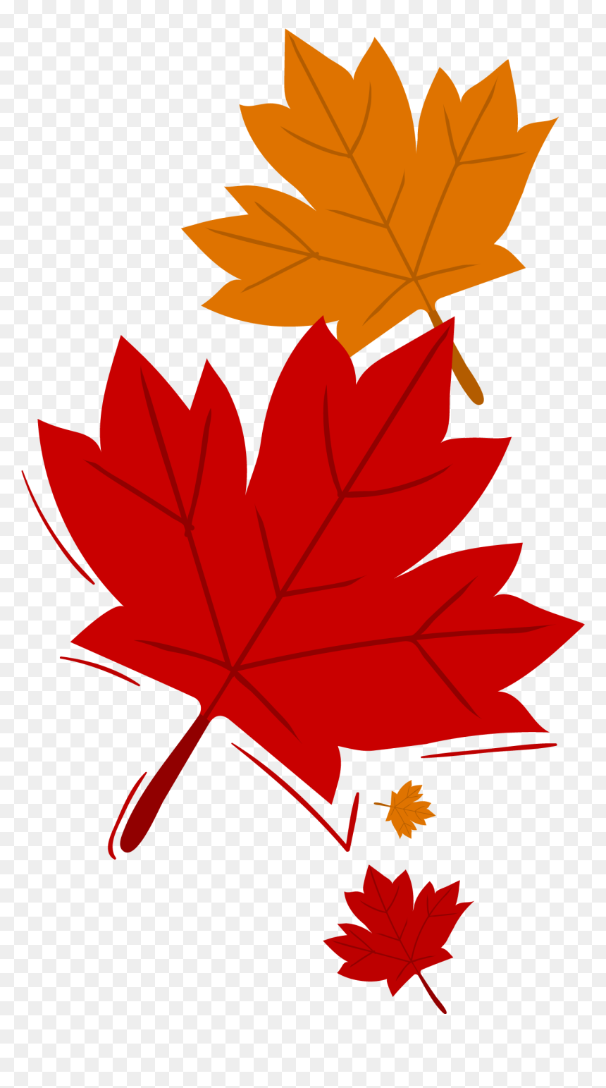 Maple Leaf, HD Png Download - canada leaf png