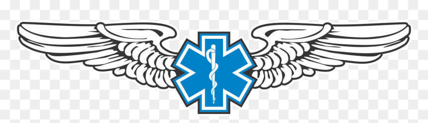 Air Evac Flight Wings, HD Png Download - pilot wings png