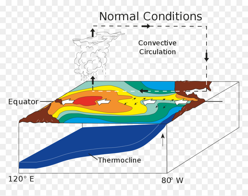 La Nina Normal Condition, HD Png Download - enso png