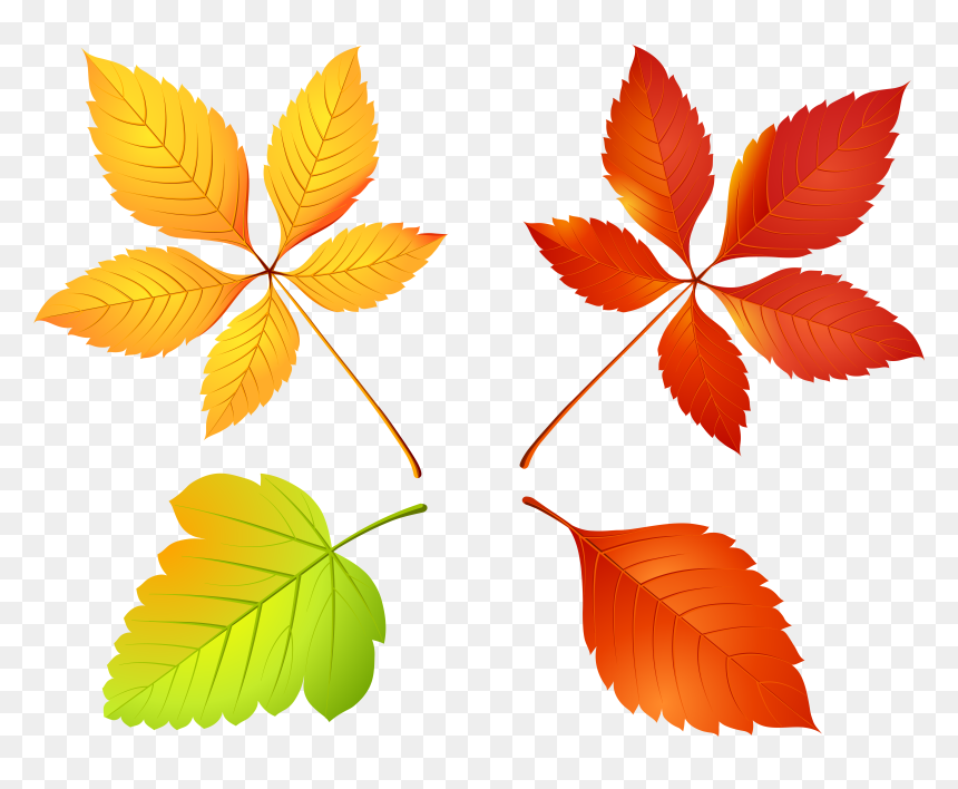 Fall Clipart Autumn Field, HD Png Download - fall clipart png