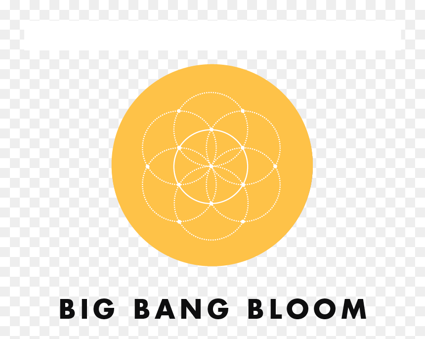 Amhydro Big Bang Bloom Plant Nutrients - Big Bang Graphic Png, Transparent Png - big bang png