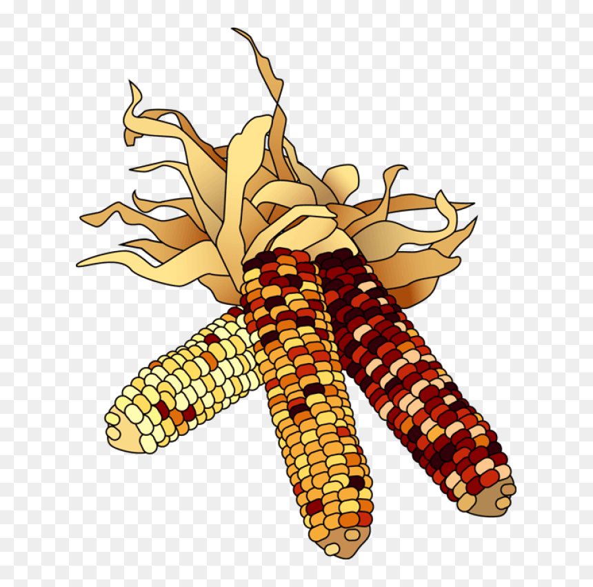 November Clipart Fall Corn - November Clipart, HD Png Download - fall clipart png
