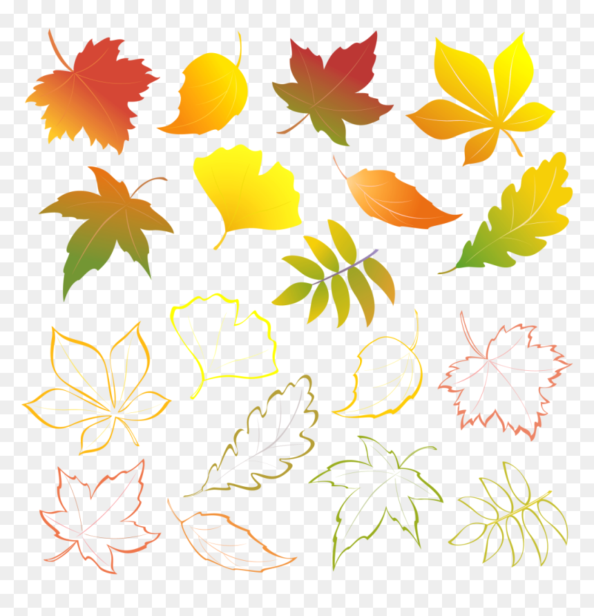 Transparent Fall Flower Clipart - Falling Leaves, HD Png Download - fall clipart png