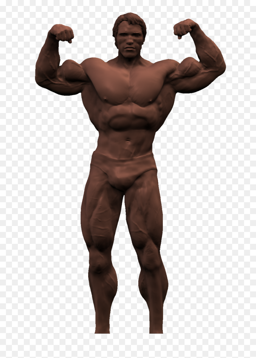 Download Arnold Schwarzenegger Transparent Background, HD Png Download - arnold png