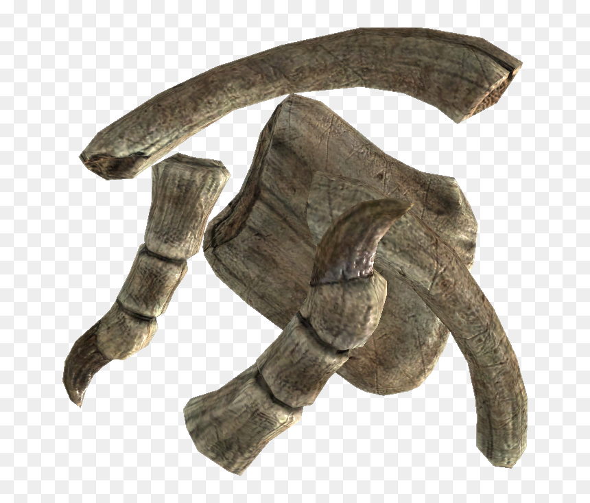 Elder Scrolls - Драконья Кость, HD Png Download - bone.png