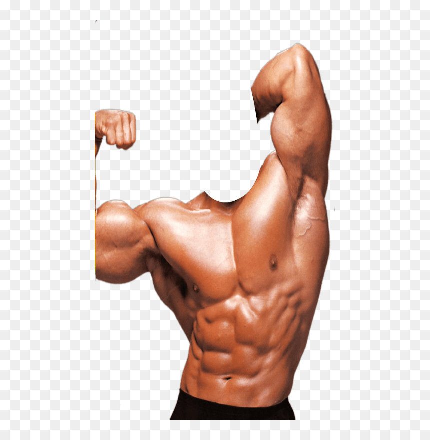 Body Builder Photo Suit, HD Png Download - arnold png