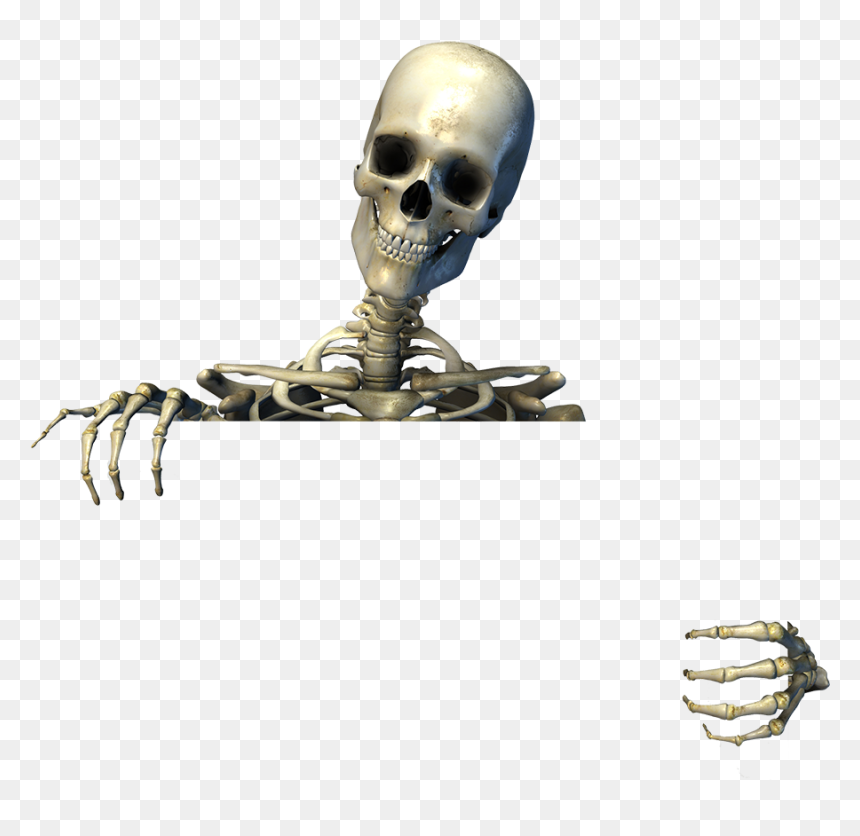 Illustration, HD Png Download - skelton png