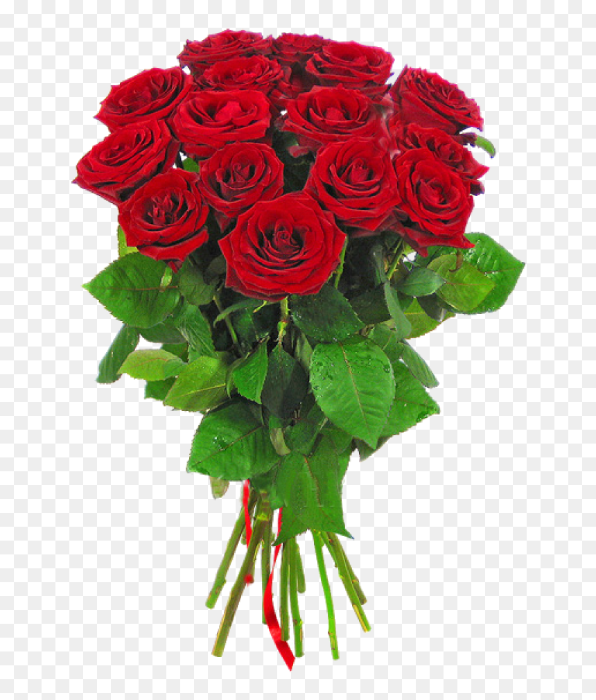 Long Stem Rose Png , Png Download - Букет Красных Роз Пнг, Transparent Png - long stem rose png