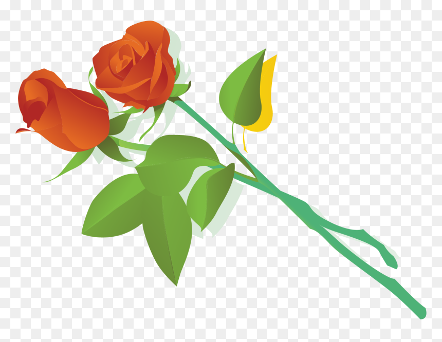Vector, HD Png Download - long stem rose png