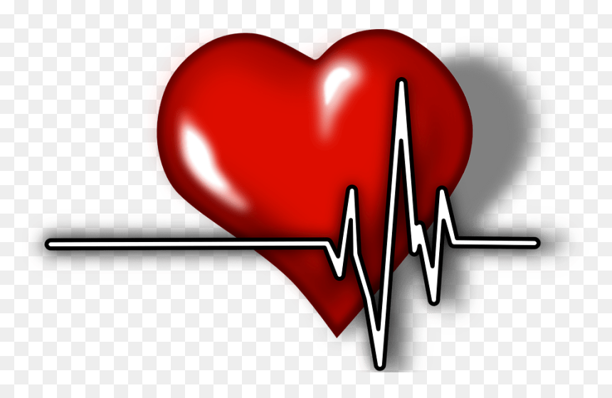 Heart Illustration - Transparent Heart Ecg Png, Png Download - heart attack png