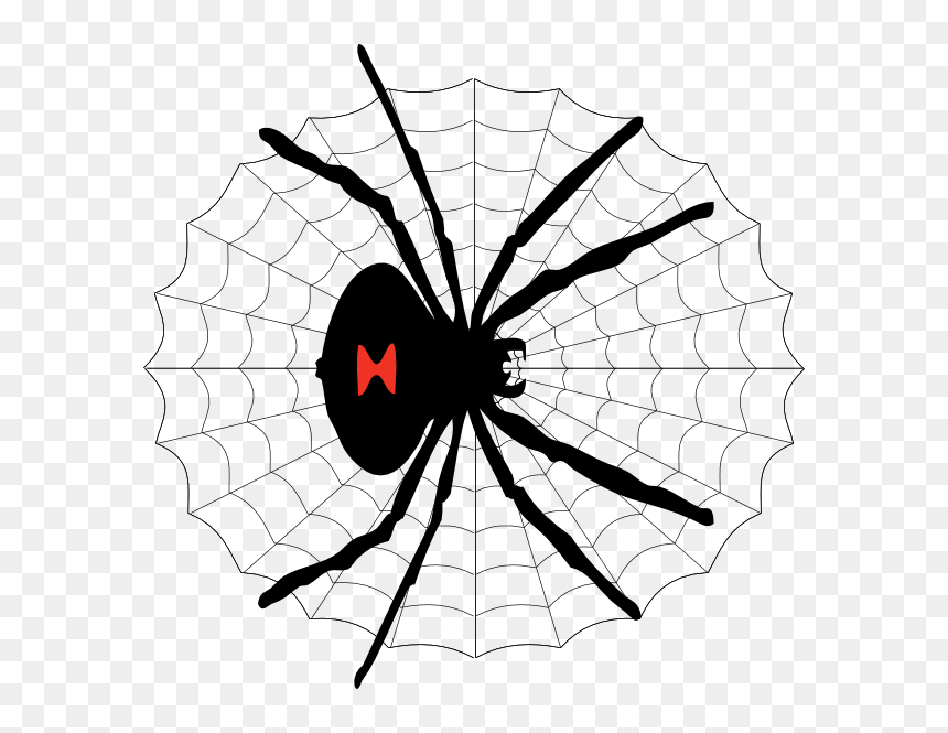 Spiderweb Clipart Vector - Cartoon Drawing Black Widow Spider, HD Png Download - spider web vector png