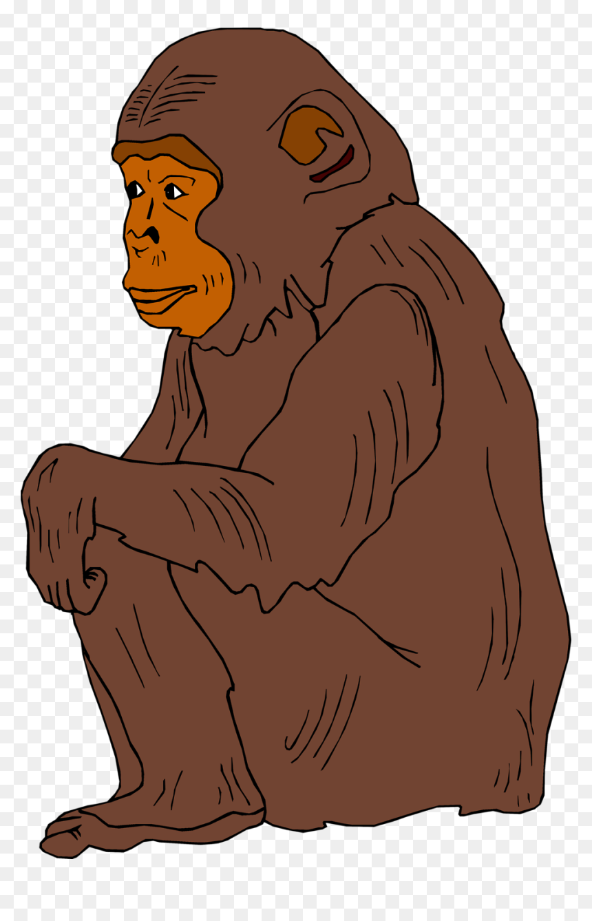 Transparent Orangutan Clipart - Transparent Chimpanzee Clipart, HD Png Download - orangutan png