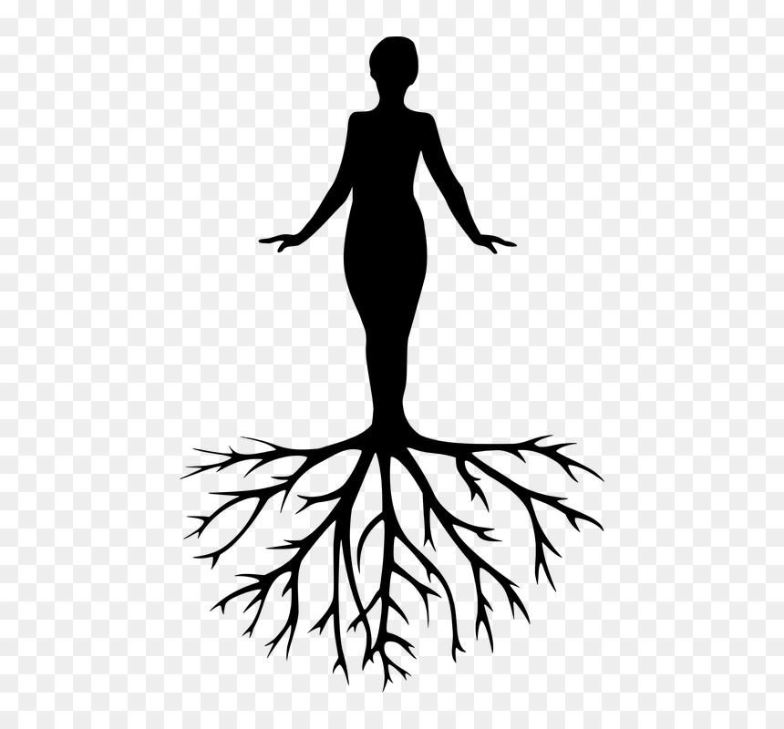Women Tree Yoga Meditation Harmony Silhouette, HD Png Download - women silhouettes png