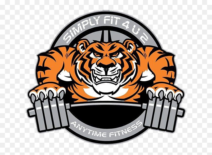 Tiger Head Clip Art, HD Png Download - anytime fitness logo png