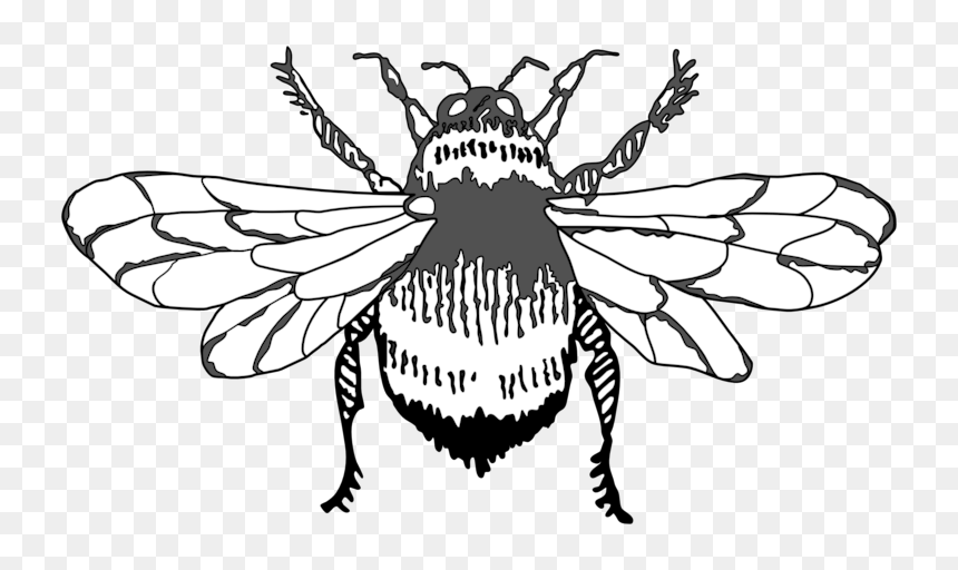 Bumble Bee Graphic Art Icon Design Illustration Vector - House Fly, HD Png Download - bee icon png
